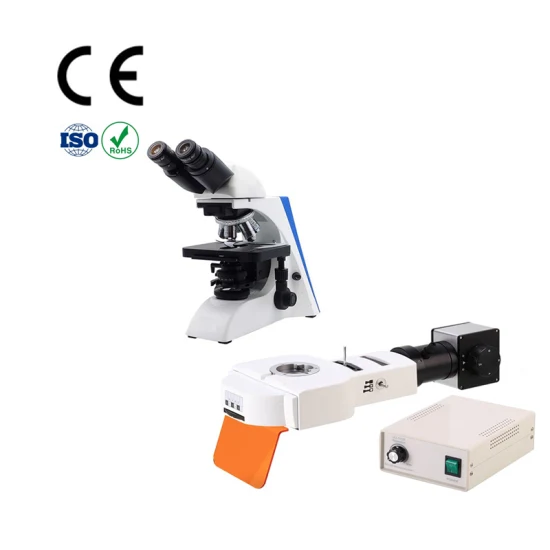 Microscopio per produttori di utensili Prezzo binoculare del microscopio a fluorescenza per microscopi Meiji